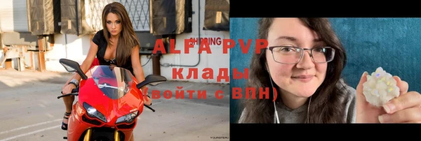 apvp Алзамай