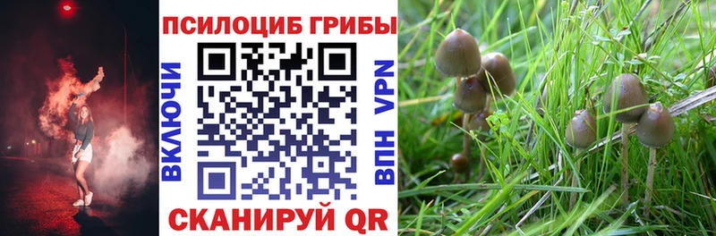 Псилоцибиновые грибы GOLDEN TEACHER  Данков 